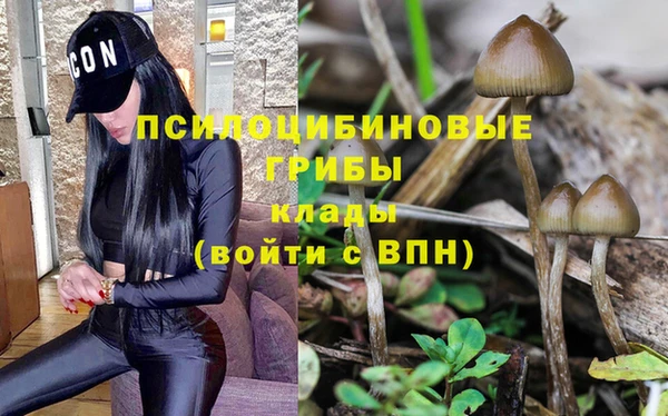 ешки Бугульма