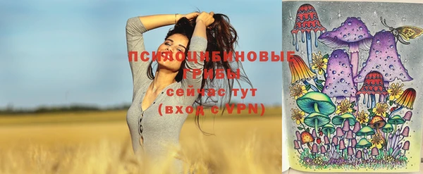 ешки Бугульма