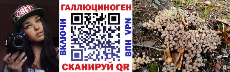 купить закладку  Вологда  Псилоцибиновые грибы Cubensis 
